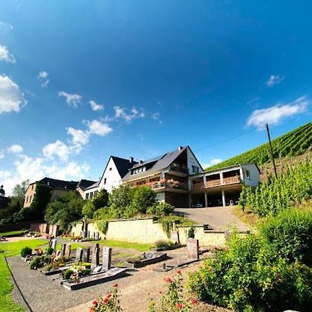 Chateau-De-La-Moselle Kinheim المظهر الخارجي الصورة