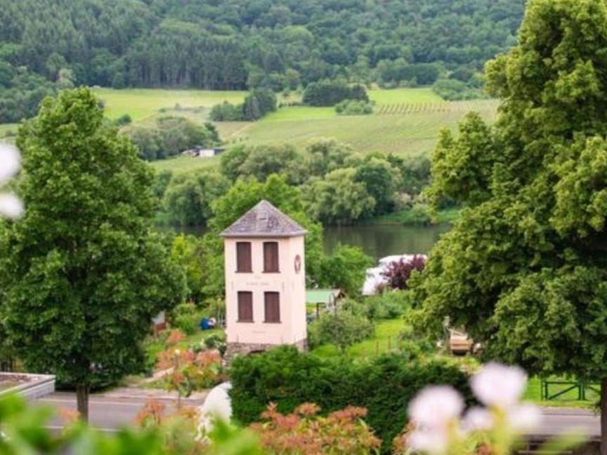 Chateau-De-La-Moselle Kinheim المظهر الخارجي الصورة