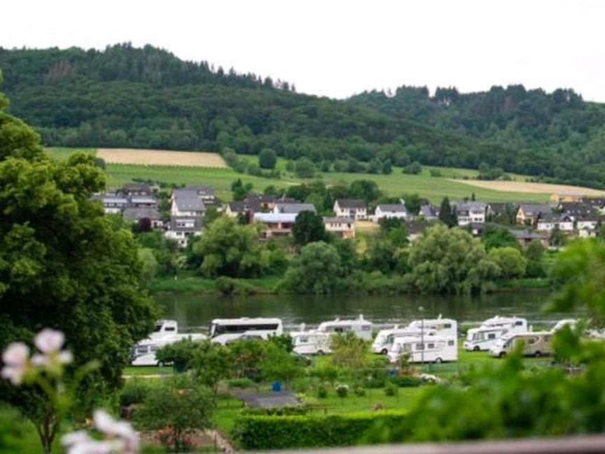 Chateau-De-La-Moselle Kinheim المظهر الخارجي الصورة