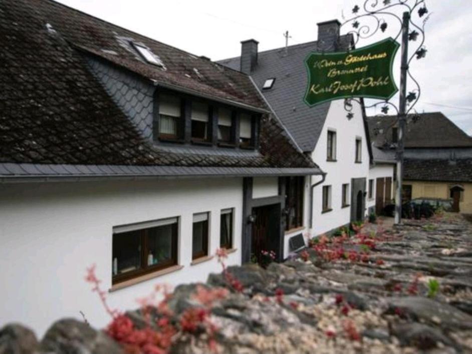 Chateau-De-La-Moselle Kinheim المظهر الخارجي الصورة