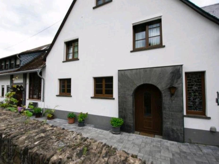 Chateau-De-La-Moselle Kinheim المظهر الخارجي الصورة
