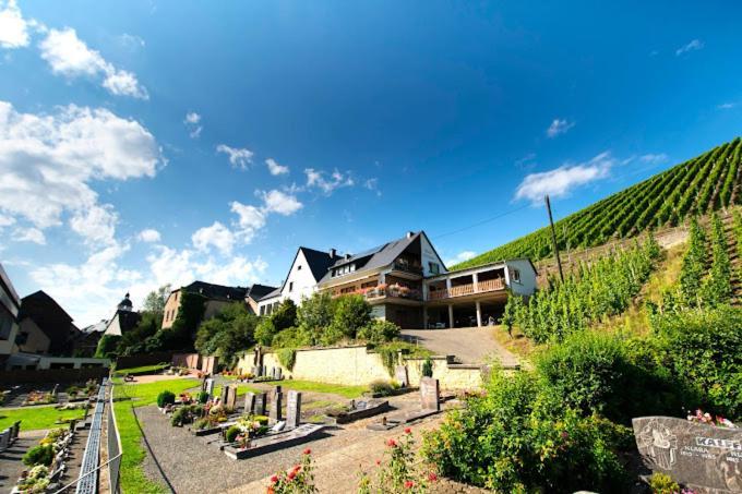 Chateau-De-La-Moselle Kinheim المظهر الخارجي الصورة