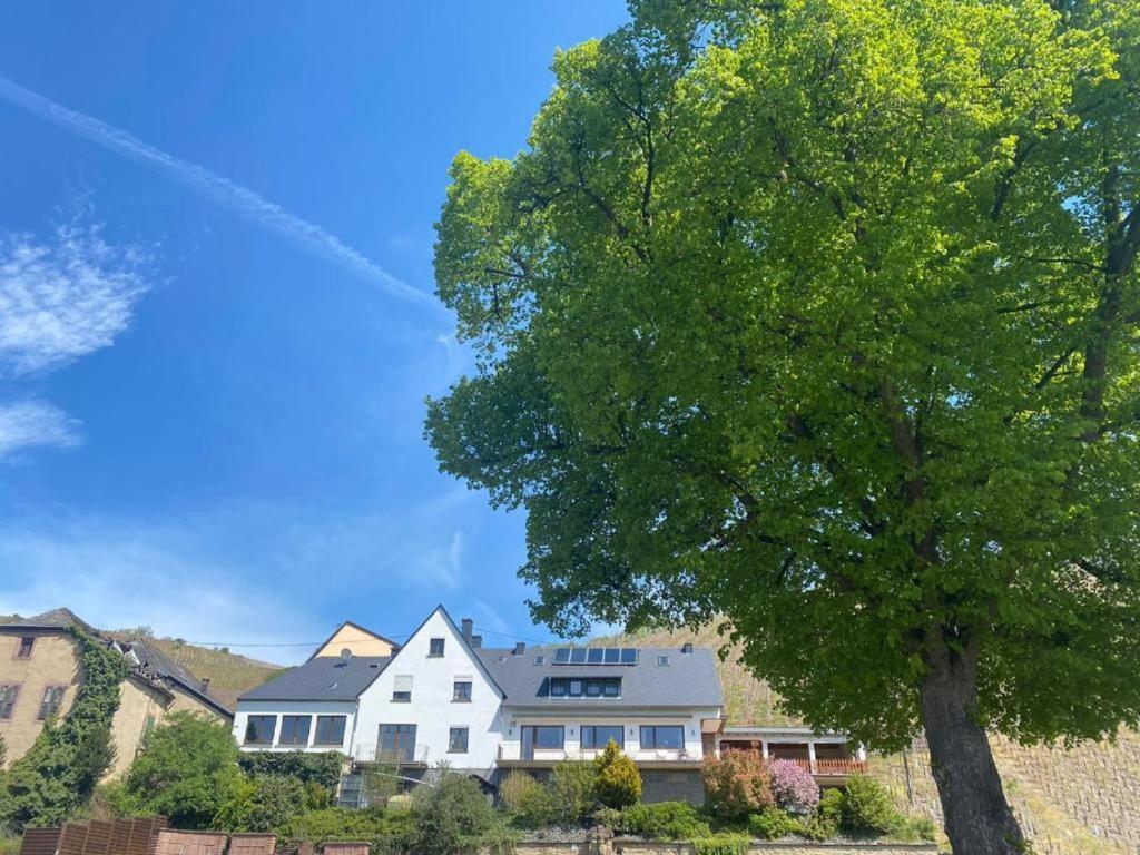 Chateau-De-La-Moselle Kinheim المظهر الخارجي الصورة